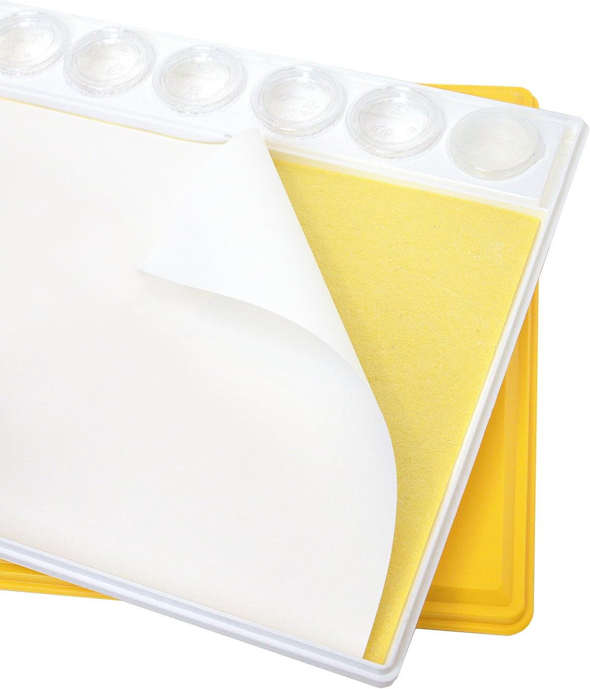 Masterson Sta-Wet Painters Pal Bundled Set, 9in x 12in Airtight Wet Painting Palette, with 30 Acrylic Paper Refill Sheets and 1 Sponge Refill Pack, Keeps Wet Paint Fresh for Days, Made in USA